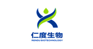 Rendu
